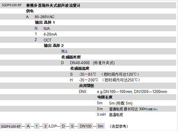 SGTF1100-EP便攜式時差流量計